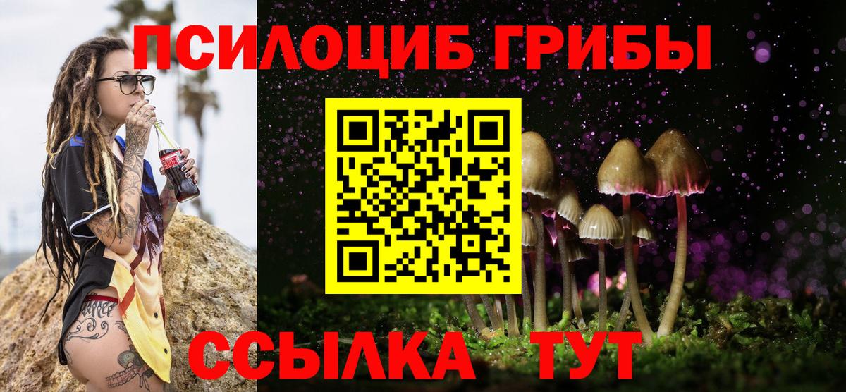 Галлюциногенные грибы Cubensis Семилуки
