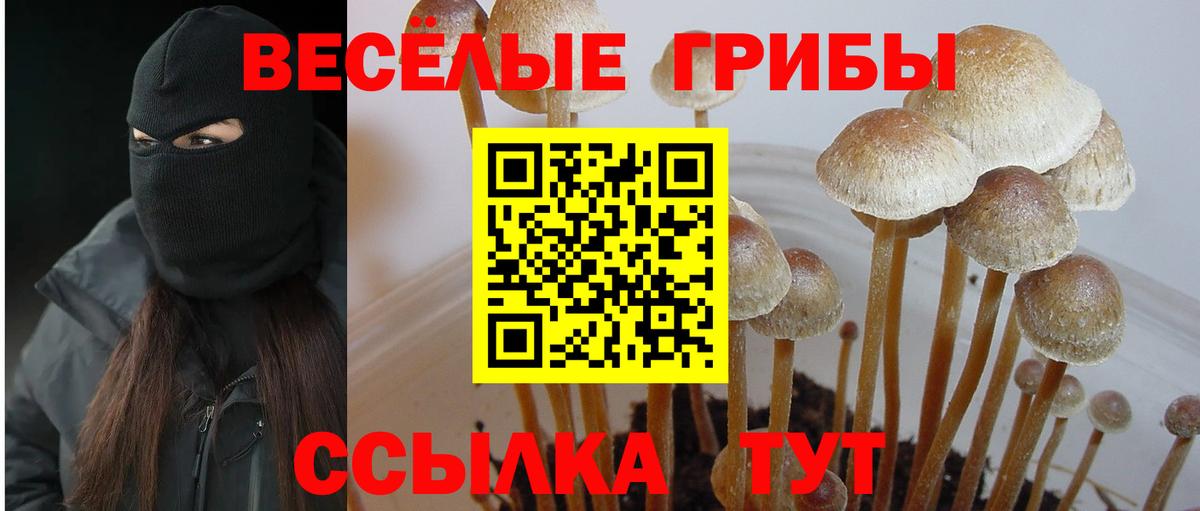 Галлюциногенные грибы Psilocybine cubensis  где купить наркоту  Семилуки  Вход с VPN  Псилоцибиновые грибы Magic Shrooms 